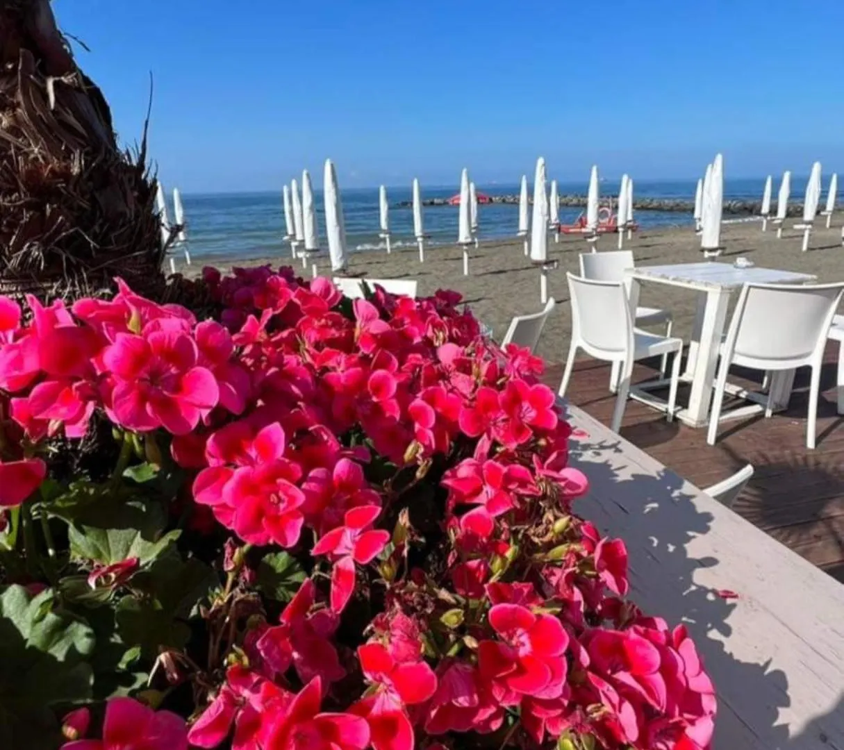 Rosa Dei Venti Apartment Lido di Ostia Italy